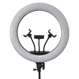 Кільцева лампа RING FILL LIGHT QX-360 36см 14" (з трьома тримачами, без підставки)