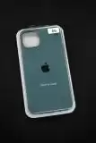 Чохол iPhone 15 Silicon Case original FULL №66 pine green (4you)