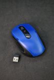 Мышь беспроводная 3000 Black/blue