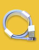 Usb-cable iPhone 5 4you High Quality White 2M ( 5 ic, iron shell )