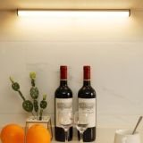 LED светильник 020-3 с датч движ и освещ, АКБ, в алюм корп, серебристый 20 см 3W (М) - Цена Недели!