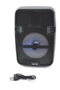 Портативная колонка ESS-110 (USB+SD+Bluetooth+FM+адаптер от сети+1-динамик) Black