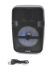 Портативная колонка ESS-110 (USB+SD+Bluetooth+FM+адаптер от сети+1-динамик) Black