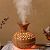 Зволожувач повітря (X-35) FLOWER HUMIDIFIER Brown (нічник, 2 реж, підс 300мл, USB-DS-5V)