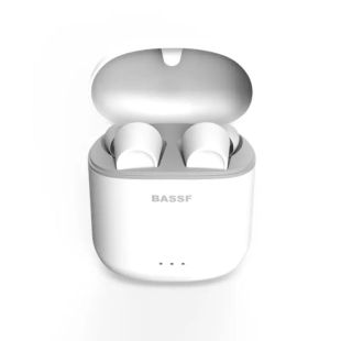 Bluetooth-гарнітура Bassf FlyBuds VR-510 (+кейс для заряджання та зберігання) White