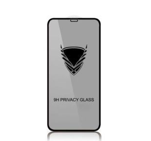 Защитное стекло iPhone 12mini (5.4) Golden Armor Privacy Black 4you "Акционная цена"