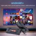 Smart TV HK1 RBOX -D8 stick 2/16GB (RK3528, WIFI: 2.4G/5G; Bluetooth: V5.1; OS: Android 13, VF)