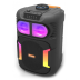 Портативна колонка MS-2065BT-W (USB+SD+Bluetooth+FM+дисплей+мікрофон) 38см*23см*23см Black