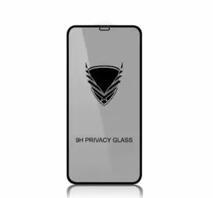 Захисне скло iPhone 12mini (5.4) Golden Armor Privacy Black 4you