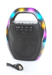 Портативная колонка ESS-109B (USB+SD+Bluetooth+FM+дисплей+адаптер от сети+1-динамик) Black