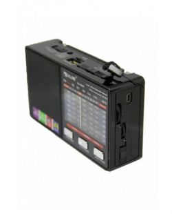 Радіоприймач Golon RX-8866 (USB+SD, ліхтарик) Black