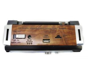 Радіоприймач Golon RX-381 ( USB + SD ) Brown