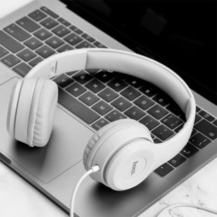 Гарнитура HOCO W21 (Мониторы) Grey
