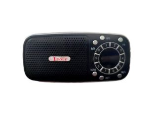 Портативная колонка TO-205 (usb+SD+FM) black/silver