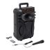Портативная колонка ZQS10101 (USB+SD+Bluetooth+FM+дисплей+1-динамик+2микрофона 44см*30см*24см) Black