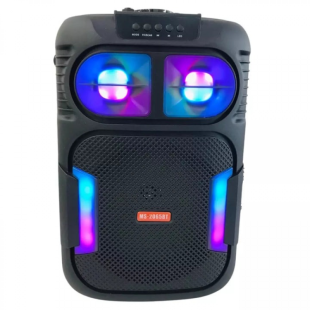 Портативная колонка MS-2065BT-W (USB+SD+Bluetooth+FM+дисплей+микрофон) 38см*23см*23см Black