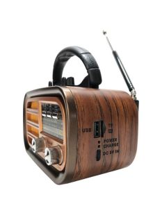 Радіоприймач Golon RX-BT638 (USB+SD) Gold