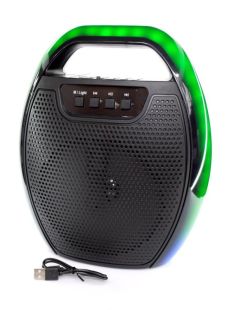 Портативная колонка ESS-209A (USB+SD+Bluetooth+FM+дисплей+1-динамик) Black