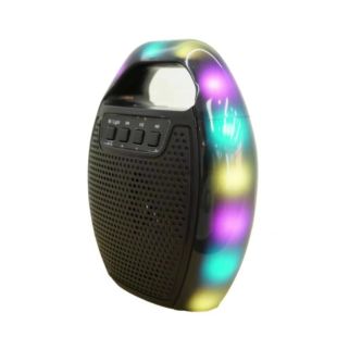 Портативна колонка ESS-109B (USB+SD+Bluetooth+FM+дисплей+адаптер від мережі+1-динамік) Black