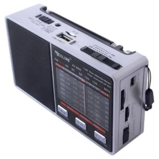 Радіоприймач Golon RX-8866 ( USB + SD, ліхтарик ) Silver