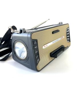 Радиоприемник Golon RX-S2618BTS (Bluetooth, USB, microSD. солнечная батарея, фонарик) Gold